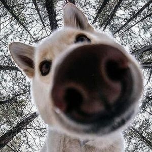 Meet your Posher, Aiden